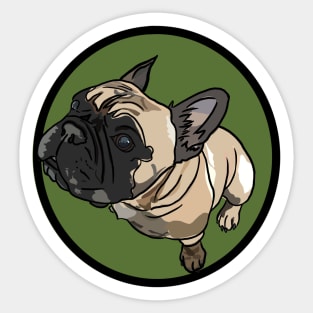 Frenchie Sticker